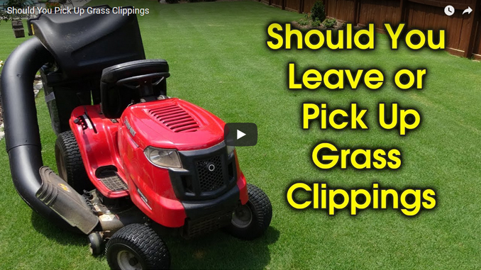 should you bag your grass clippings