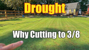 drought lawn watering